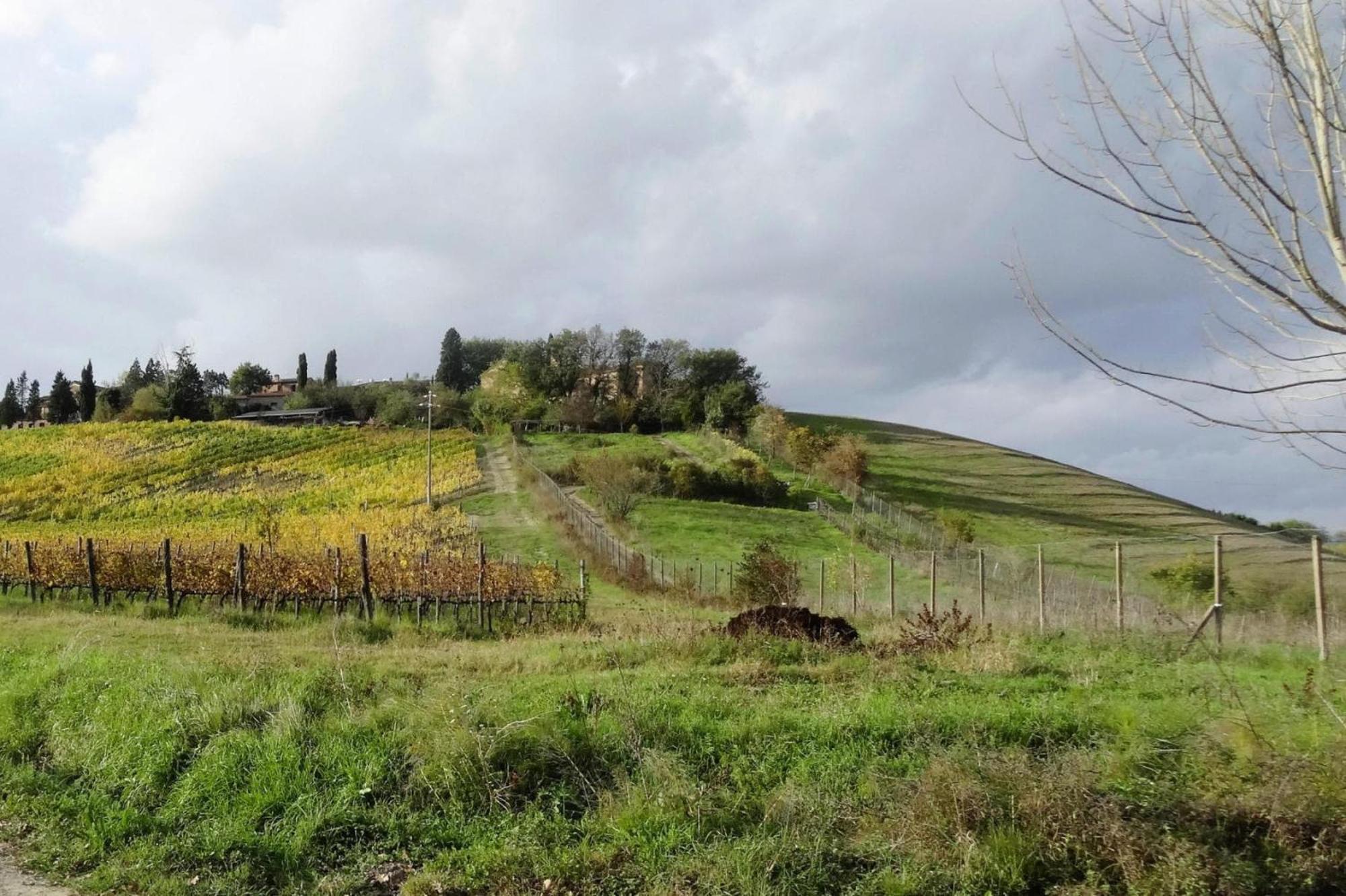 Fattoria Bio Pieve A Salti Montalcino Lejlighed Eksteriør billede