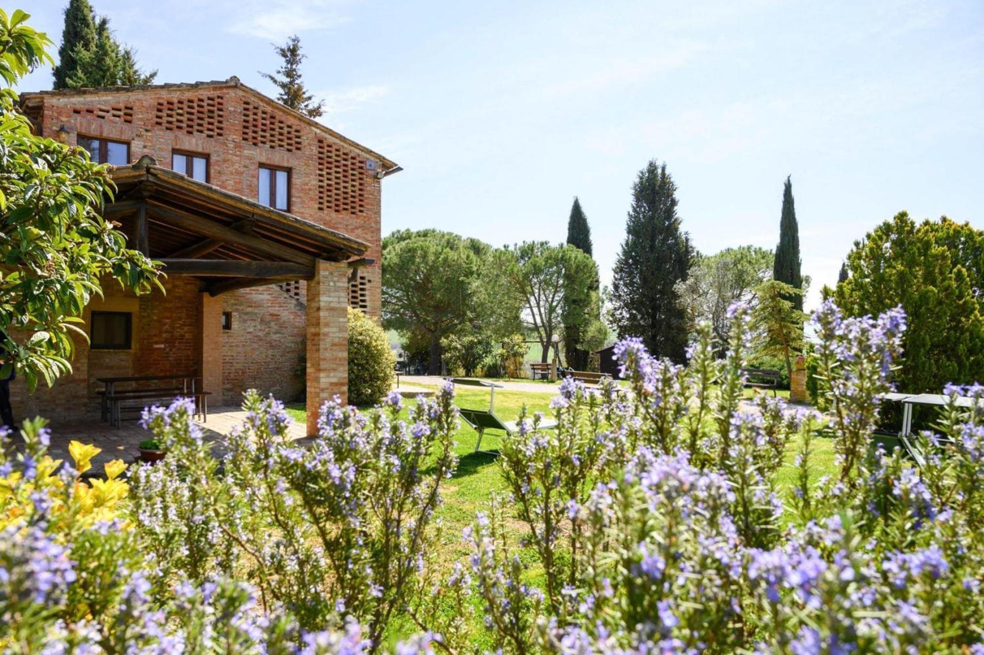 Fattoria Bio Pieve A Salti Montalcino Lejlighed Eksteriør billede